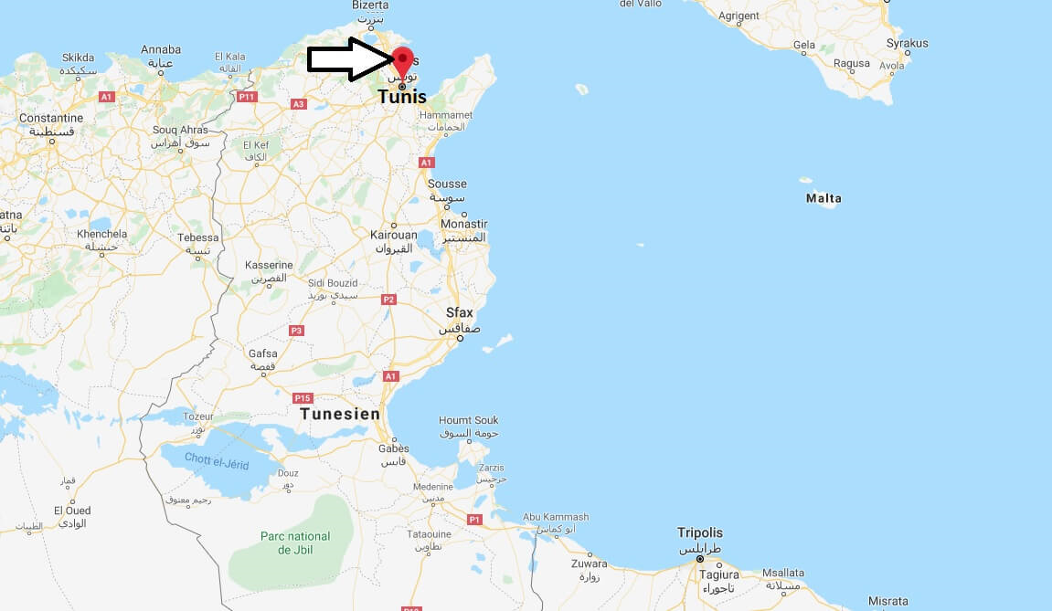 Wo liegt Tunis - Wo ist Tunis - in welchem land liegt Tunis