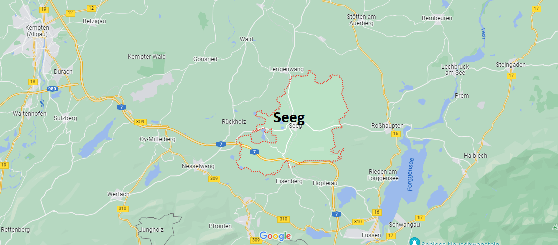 Seeg
