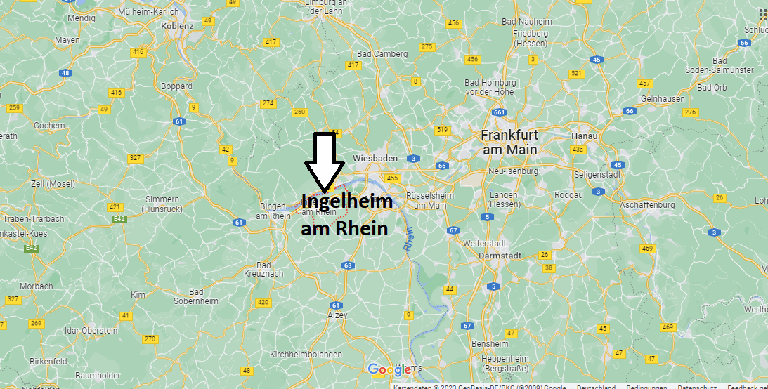 Wo liegt Ingelheim am Rhein
